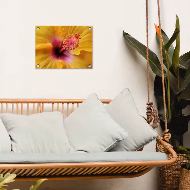Tuinposter - Geel - Hibiscus - Tropisch — 5