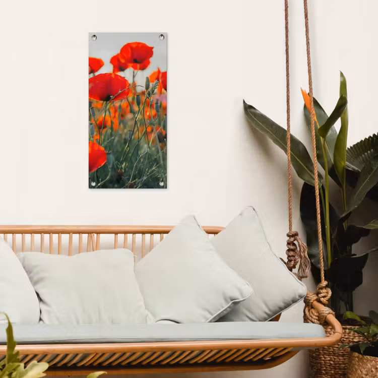 Tuinposter - Klaprozen in close-up bij zonsondergang — 5