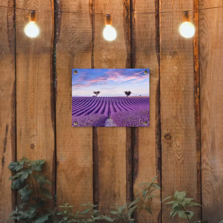 Tuinposter - Lavendel - Natuur - Paars - Bomen - Bloemen — 2