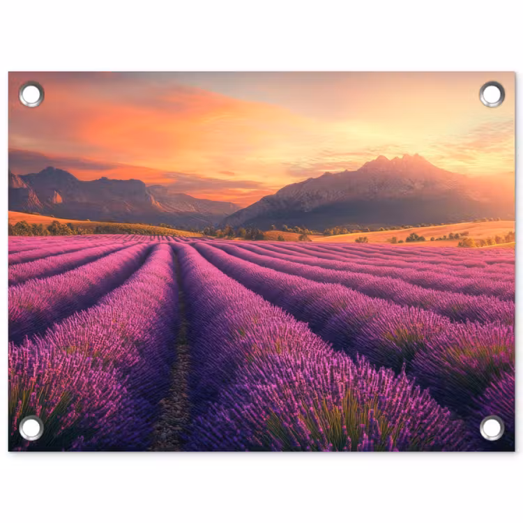 Tuinposter - Lavendelveld - Zonsondergang - Paars — 1