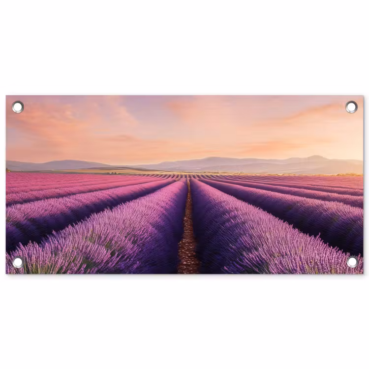 Tuinposter - Lavendelveld - Zonsondergang - Paars - Bloemen — 1
