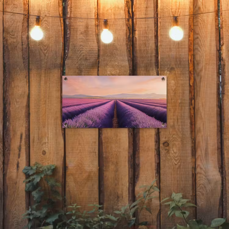 Tuinposter - Lavendelveld - Zonsondergang - Paars - Bloemen — 2