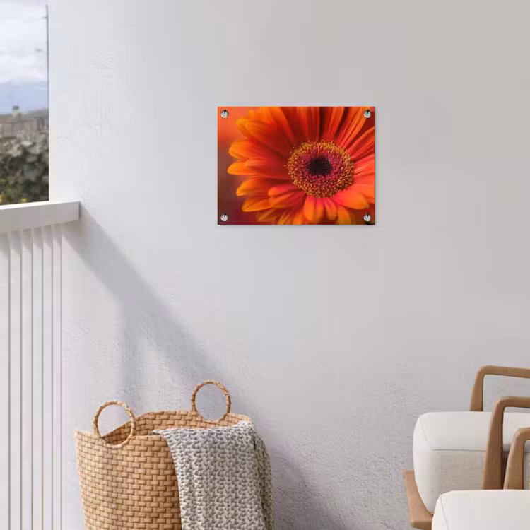 Tuinposter - Oranje - Gerbera - Intens — 3