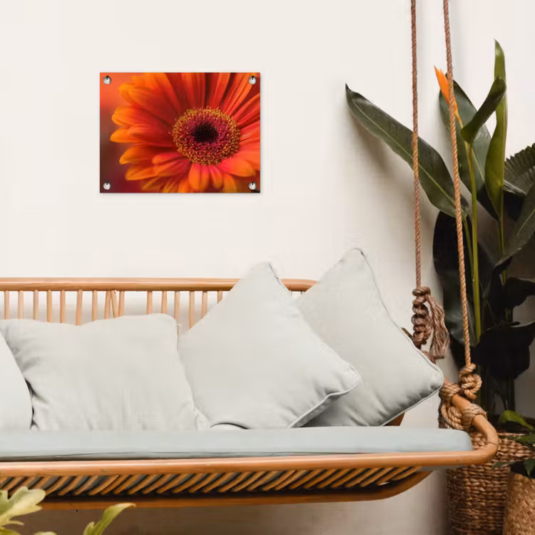 Tuinposter - Oranje - Gerbera - Intens — 5
