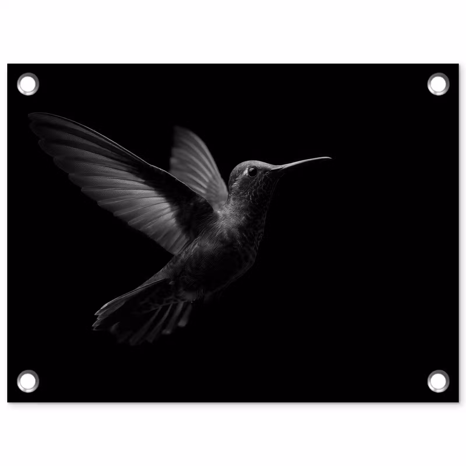 Tuinposter - Kolibrie - Zwart - Dieren — 1