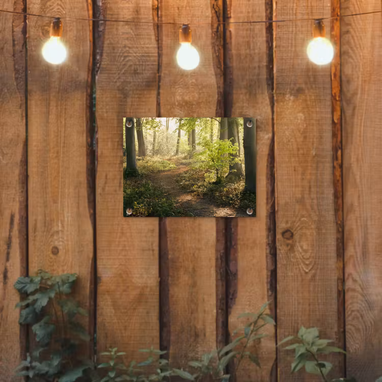 Tuinposter - Bos - Bomen - Pad - Zon - Planten - Bladeren - Natuur — 2