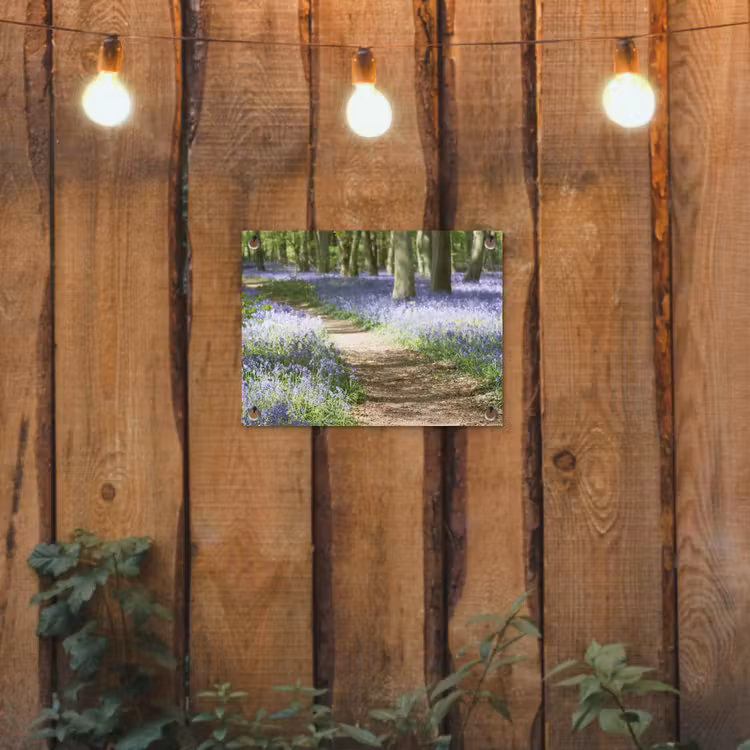 Tuinposter - Bos - Pad - Bloemen - Paars - Groen - Natuur — 2