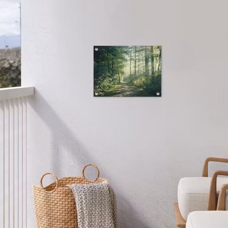 Tuinposter - Bos - Pad - Zon - Bomen - Groen - Natuur — 3