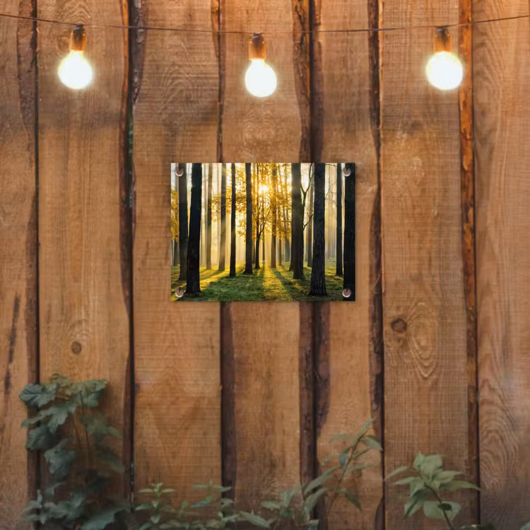 Tuinposter - Bos - Zon - Bomen - Gras - Landschap - Natuur — 2