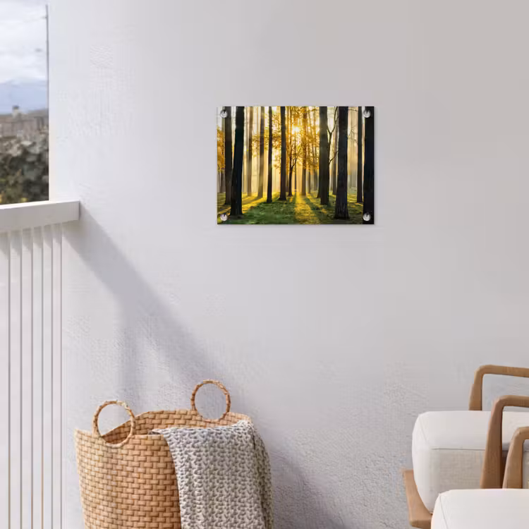 Tuinposter - Bos - Zon - Bomen - Gras - Landschap - Natuur — 3