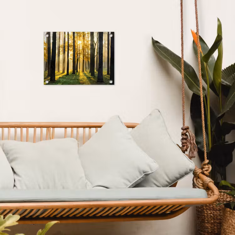 Tuinposter - Bos - Zon - Bomen - Gras - Landschap - Natuur — 5