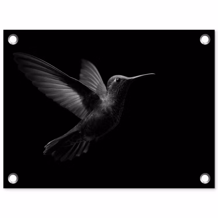 Tuinposter - Kolibrie - Zwart - Dieren — 1