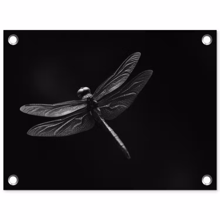 Tuinposter - Libelle - Dieren - Zwart - Insect — 1