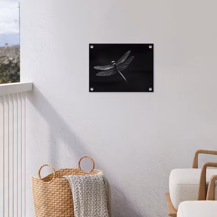 Tuinposter - Libelle - Dieren - Zwart - Insect — 3