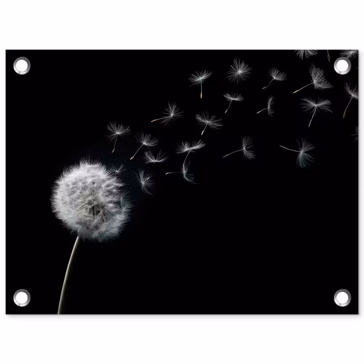 Tuinposter - Paardenbloem - Zwart - Natuur — 1