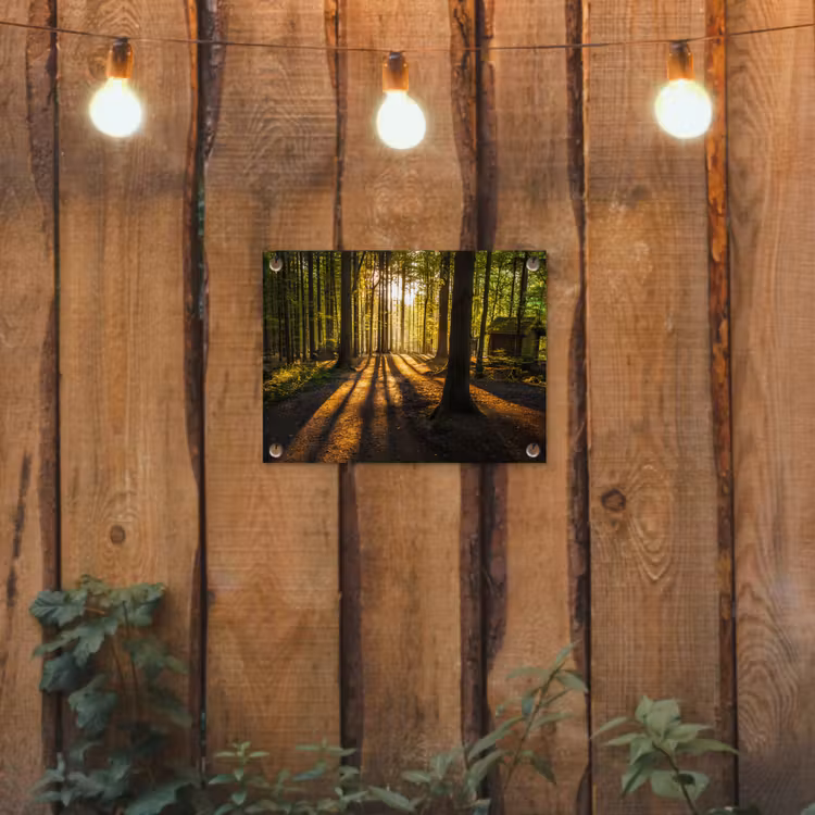 Tuinposter - Avondlicht in het bos — 2