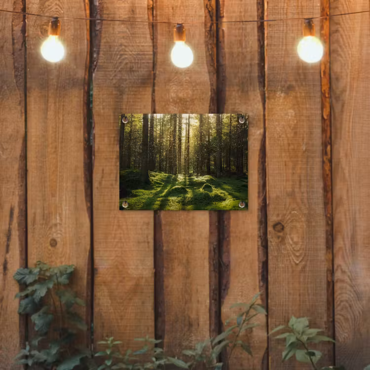 Tuinposter - Bomen - Bos - Mos - Planten - Zon - Natuur — 2