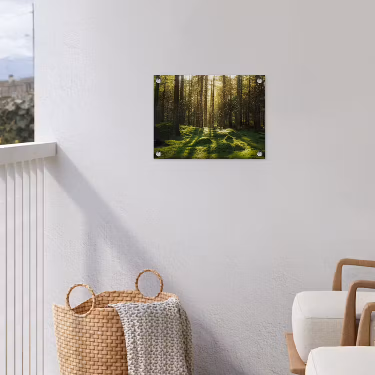Tuinposter - Bomen - Bos - Mos - Planten - Zon - Natuur — 3