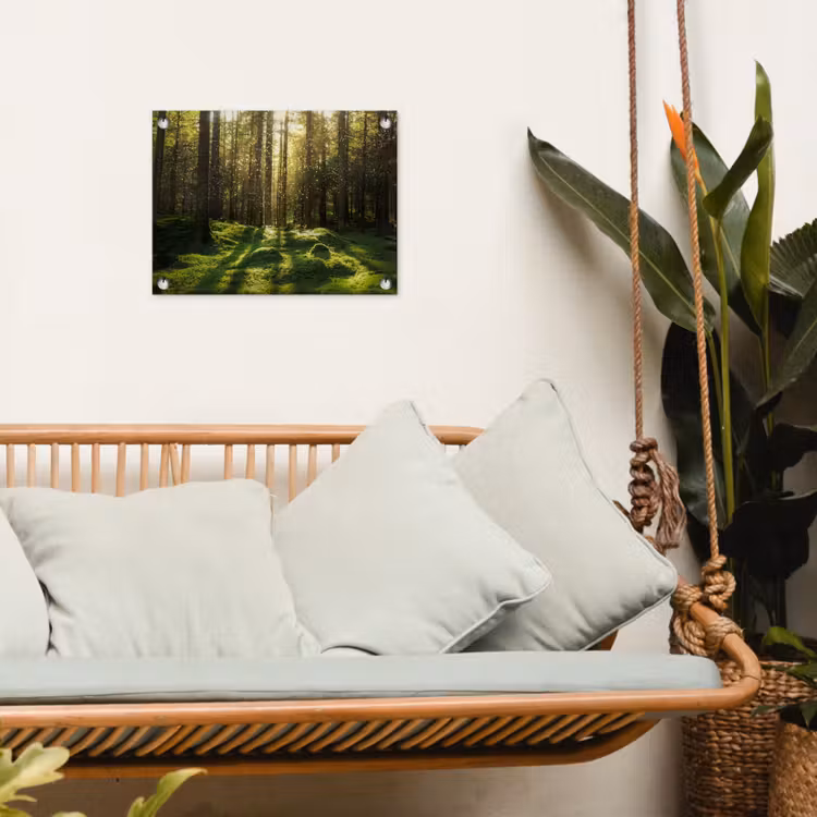 Tuinposter - Bomen - Bos - Mos - Planten - Zon - Natuur — 5