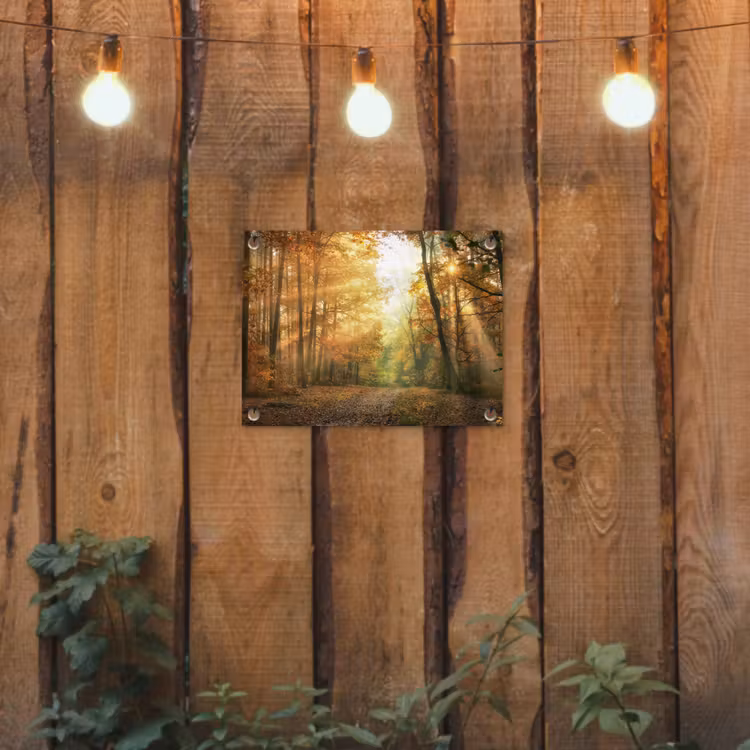 Tuinposter - Bos - Herfst - Zon - Landschap - Natuur - Bomen - Bladeren — 2