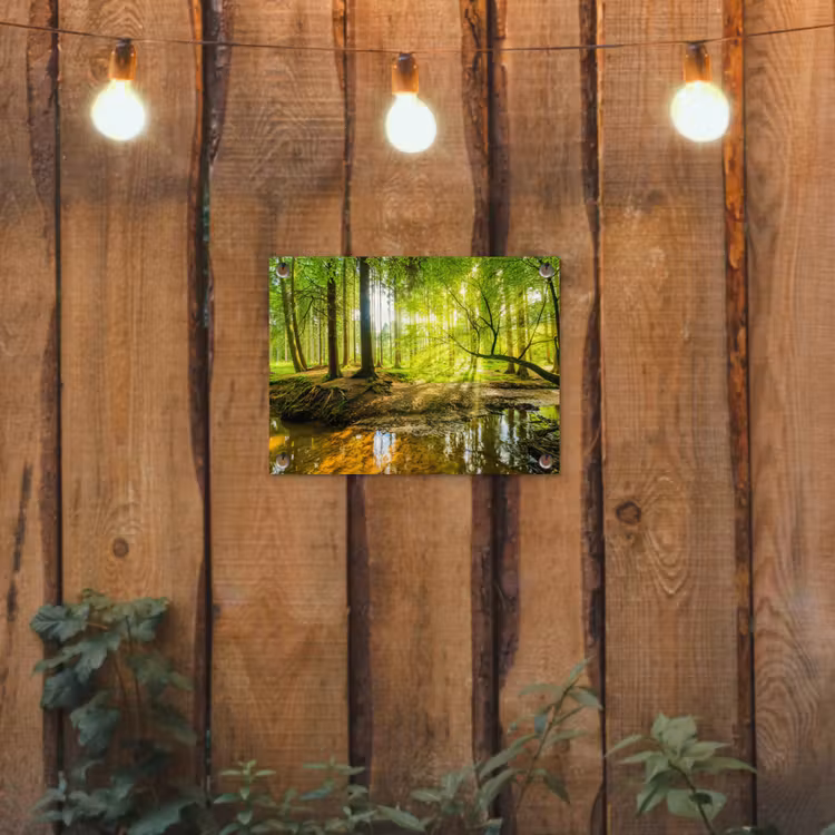 Tuinposter - Bos - Landschap - Water - Bomen - Zon - Groen - Natuur — 2