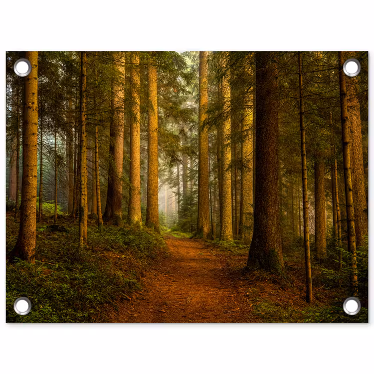 Tuinposter - Bos - Natuur - Bomen - Landschap - Bladeren — 1