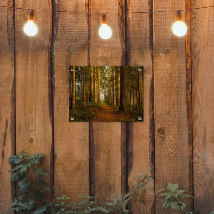 Tuinposter - Bos - Natuur - Bomen - Landschap - Bladeren — 2