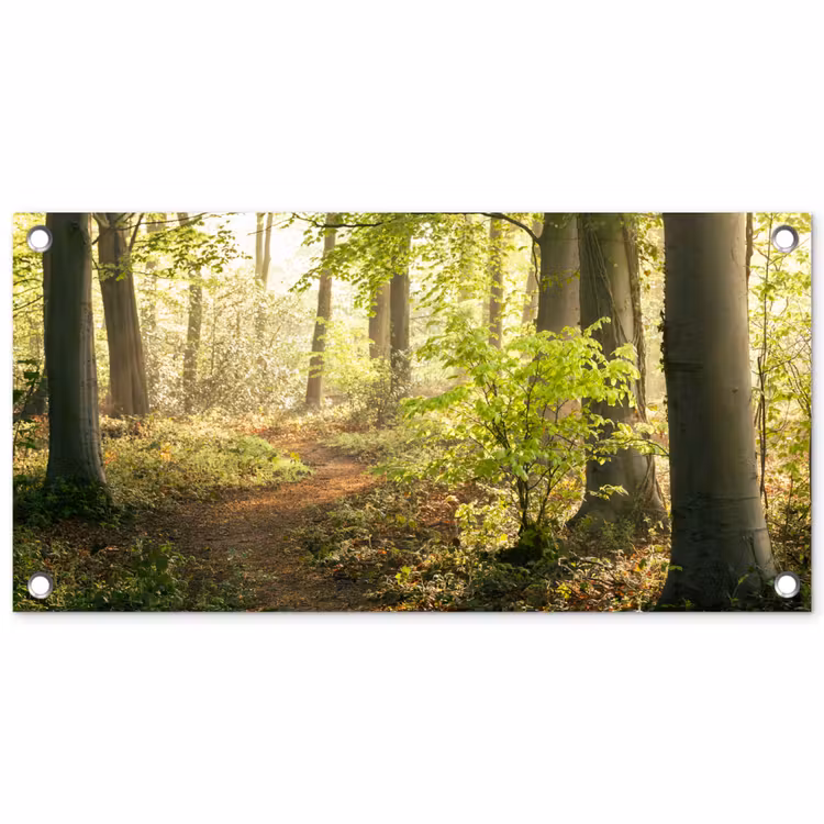 Tuinposter - Bospad bij zonsopgang — 1
