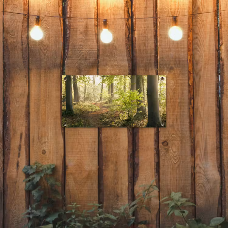 Tuinposter - Bospad bij zonsopgang — 2