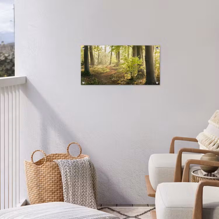 Tuinposter - Bospad bij zonsopgang — 3