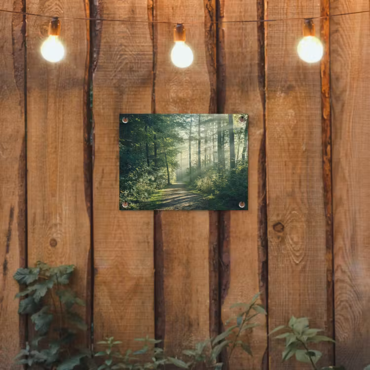 Tuinposter - Bosweg in ochtendlicht — 2