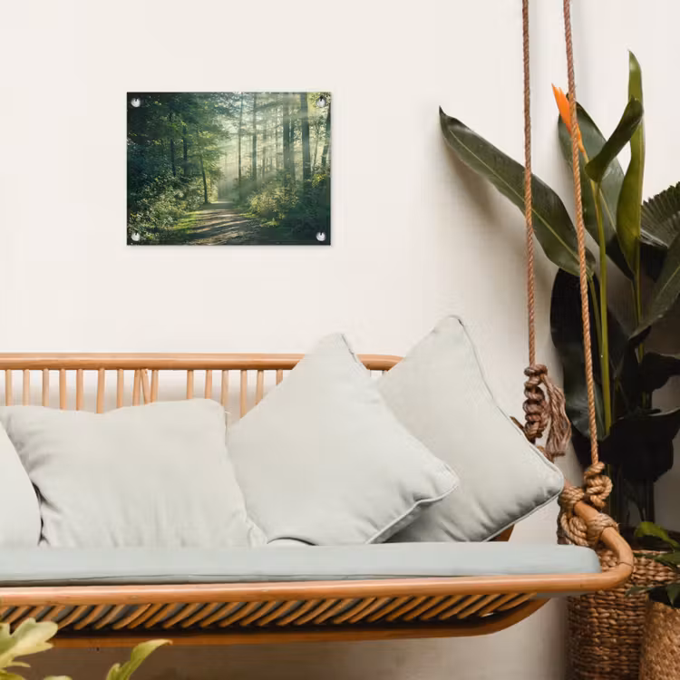 Tuinposter - Bosweg in ochtendlicht — 5