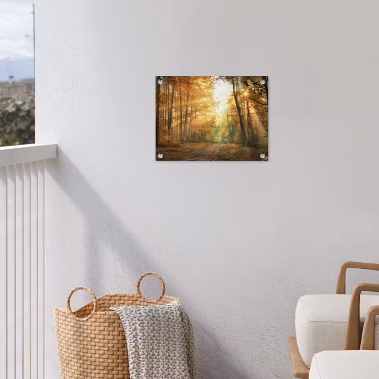 Tuinposter - Herfstbos in gouden zonlicht — 3