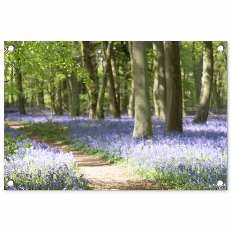 Tuinposter - Lente bos met blauwe bloemen — 1