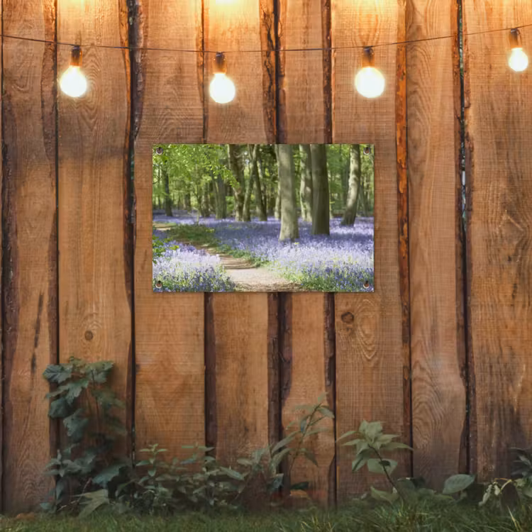 Tuinposter - Lente bos met blauwe bloemen — 2