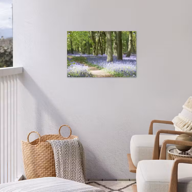 Tuinposter - Lente bos met blauwe bloemen — 3