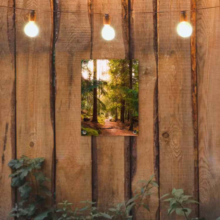 Tuinposter - Mossig bospad — 2