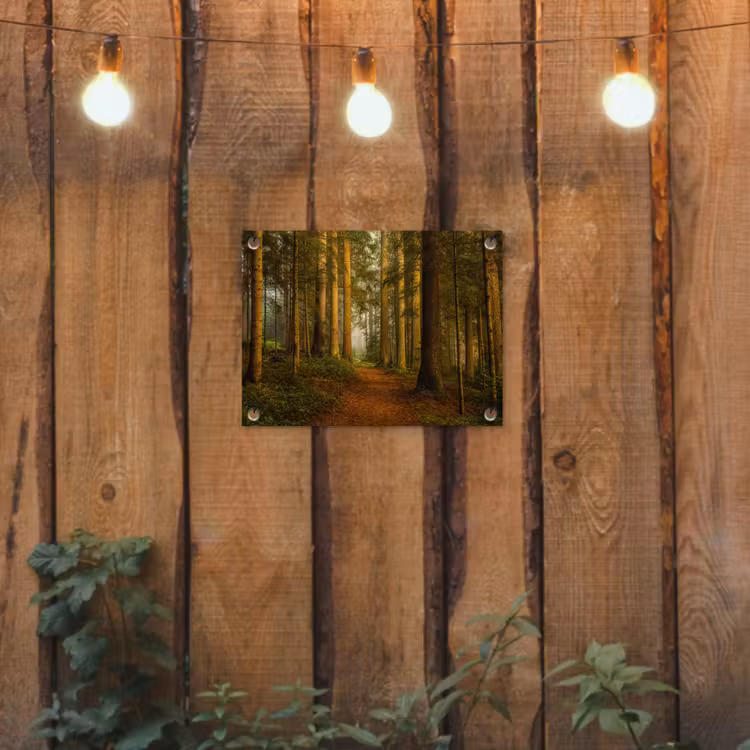 Tuinposter - Pad door majestueus dennenbos — 2