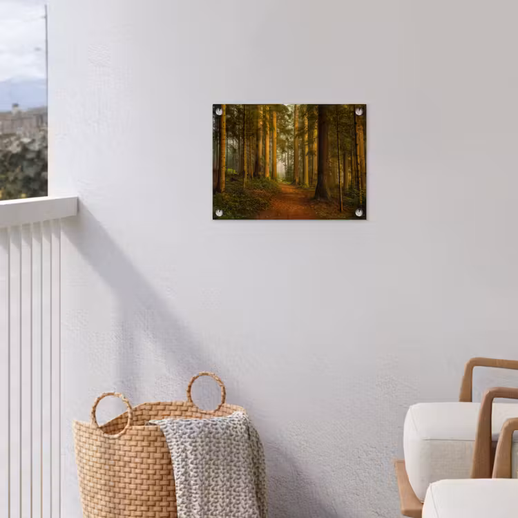 Tuinposter - Pad door majestueus dennenbos — 3
