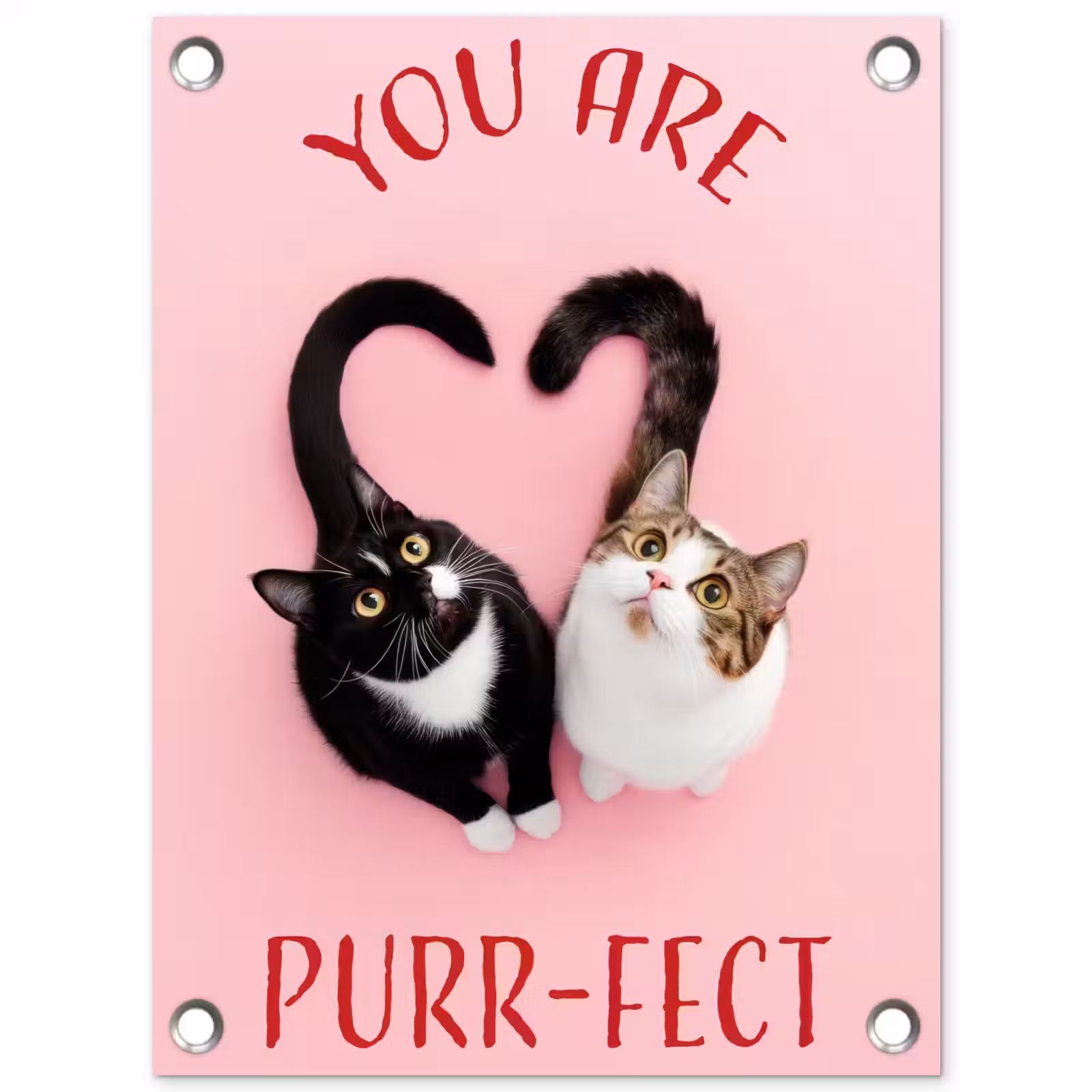 Tuinposter - Kat - Hart - Tekst - Valentijn — 1