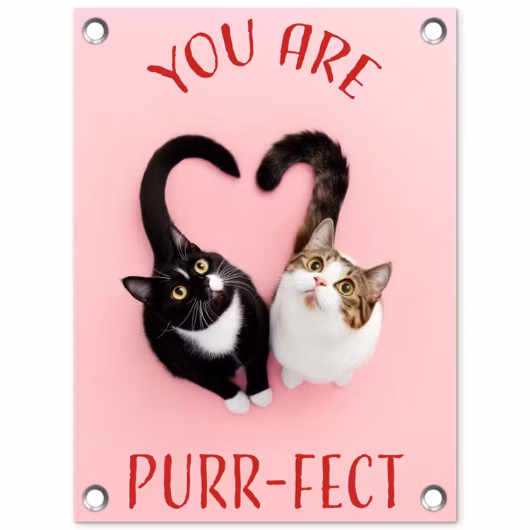 Tuinposter - Kat - Hart - Tekst - Valentijn — 1