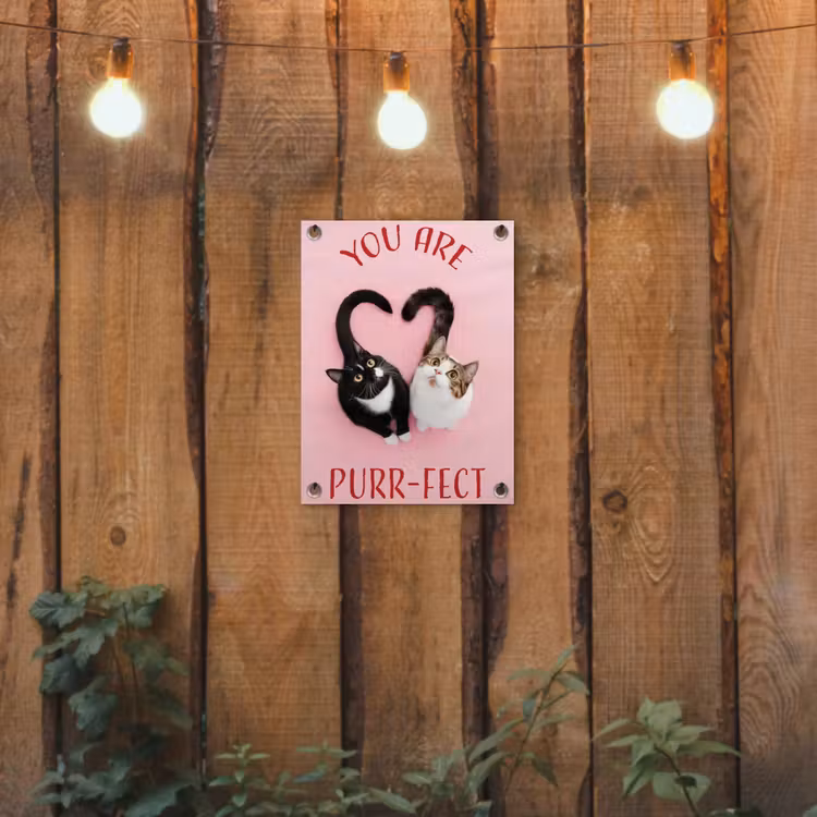 Tuinposter - Kat - Hart - Tekst - Valentijn — 2