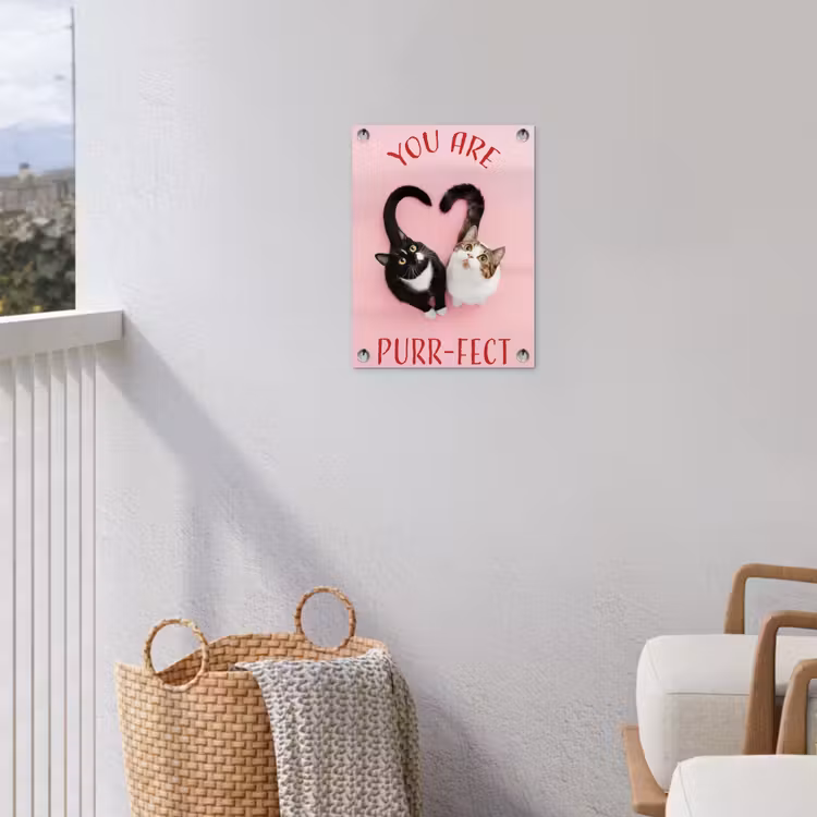 Tuinposter - Kat - Hart - Tekst - Valentijn — 3