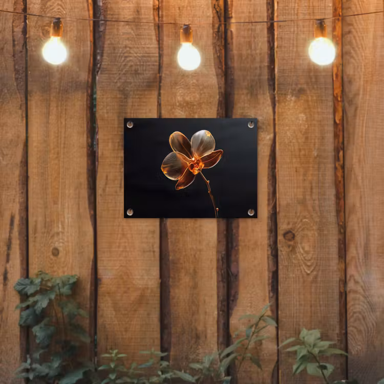 Tuinposter - Orchidee - Doorzichtig - Bloem — 2