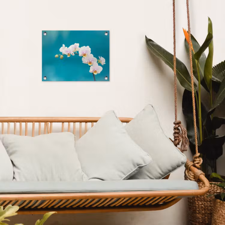 Tuinposter - Orchidee - Bloemen - Plant - Wit - Paars — 5