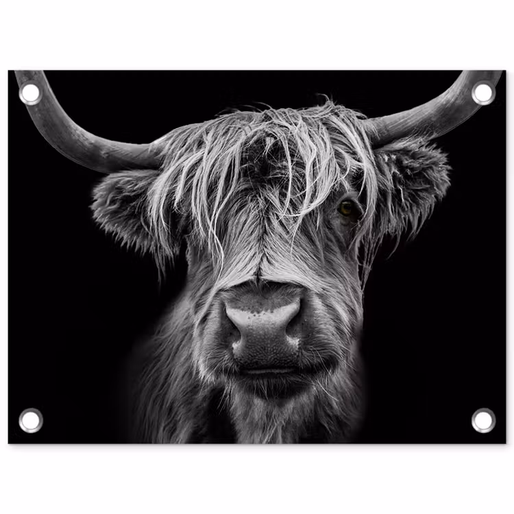 Tuinposter - Hooglander in Zwart-Wit — 1