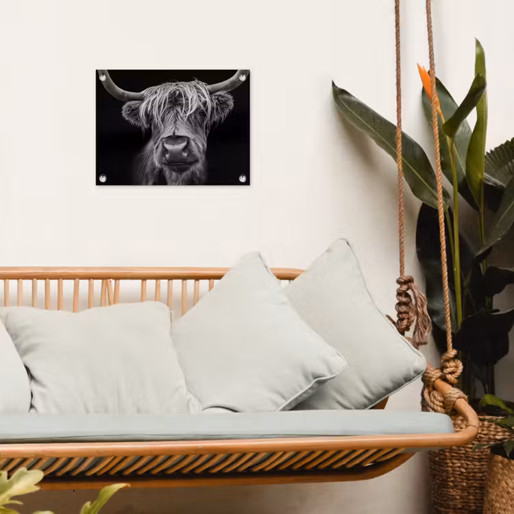 Tuinposter - Hooglander in Zwart-Wit — 5