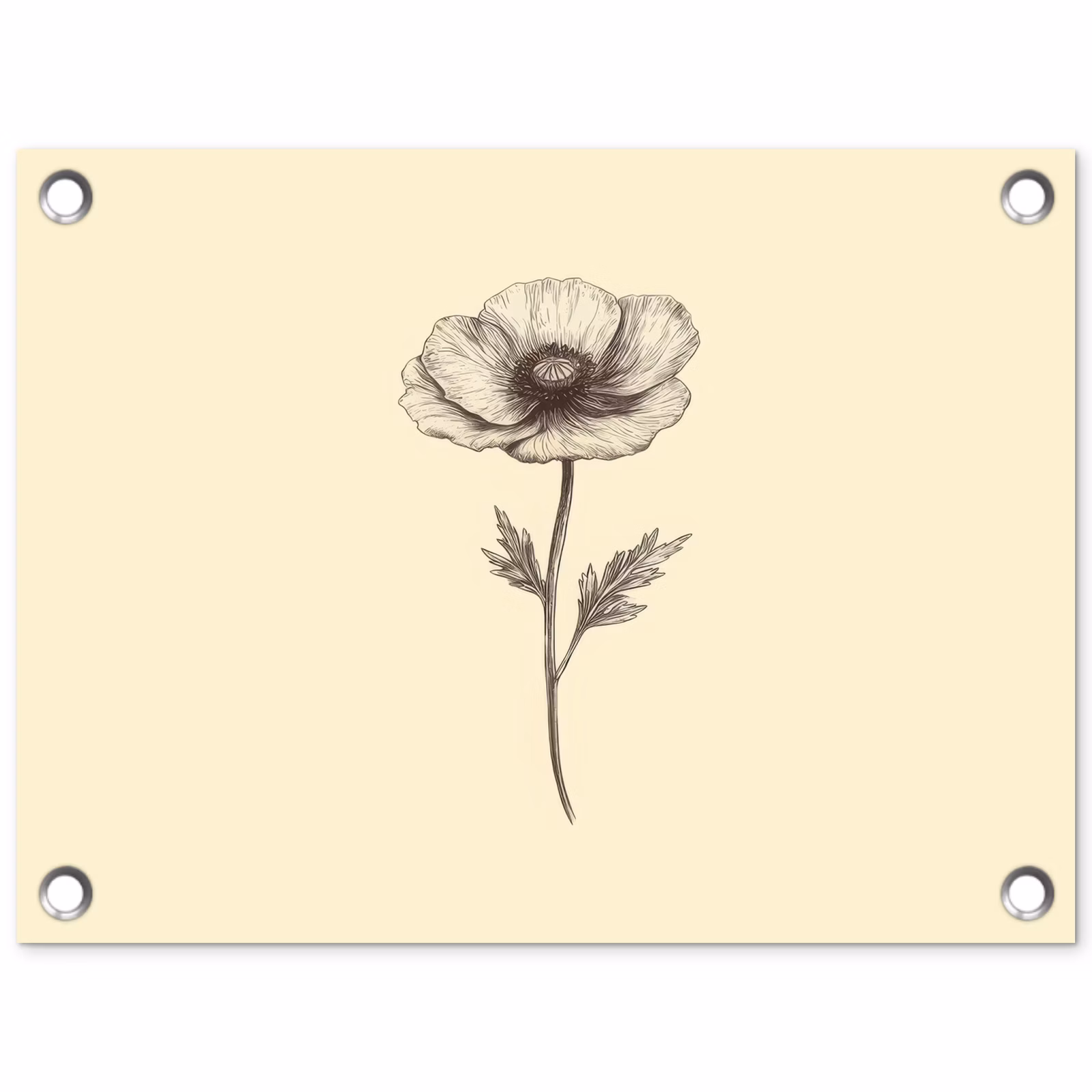 Tuinposter - Klaproos - Illustratie - Zwart — 1