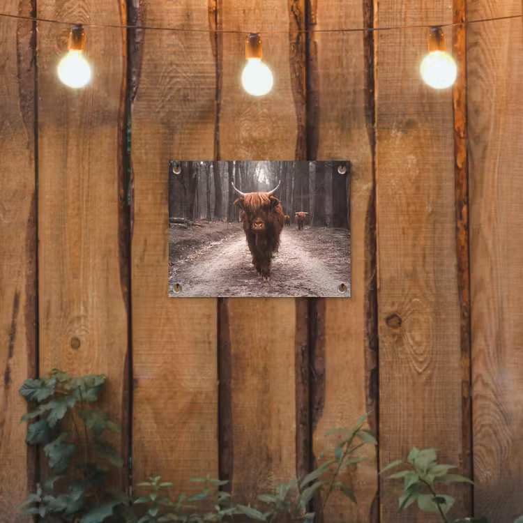 Tuinposter - Hooglander in het Bos — 2