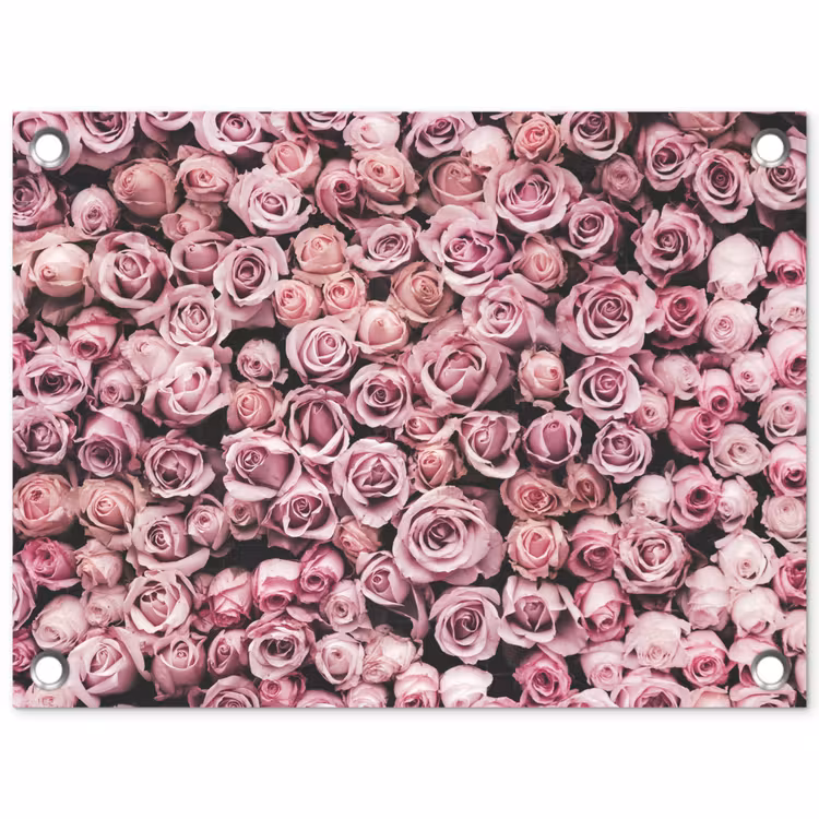 Tuinposter - Bloemen - Rozen - Natuur - Roze - Botanisch — 1